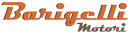 Logo Barigelli Motori Srl